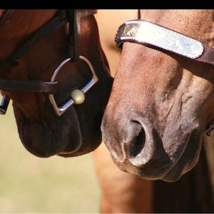 Meet your Posher, Jenn